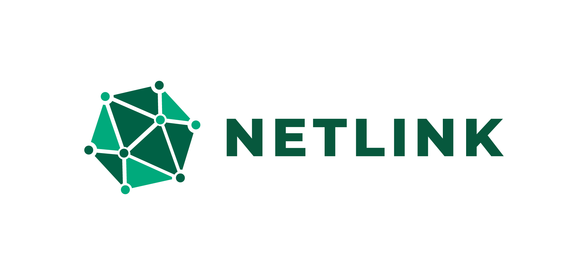 Netlink Logo